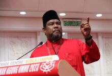 Tiada Ruang Angkuh, Sinis Atau Perkecil Institusi Diraja Dalam Kerajaan Perpaduan