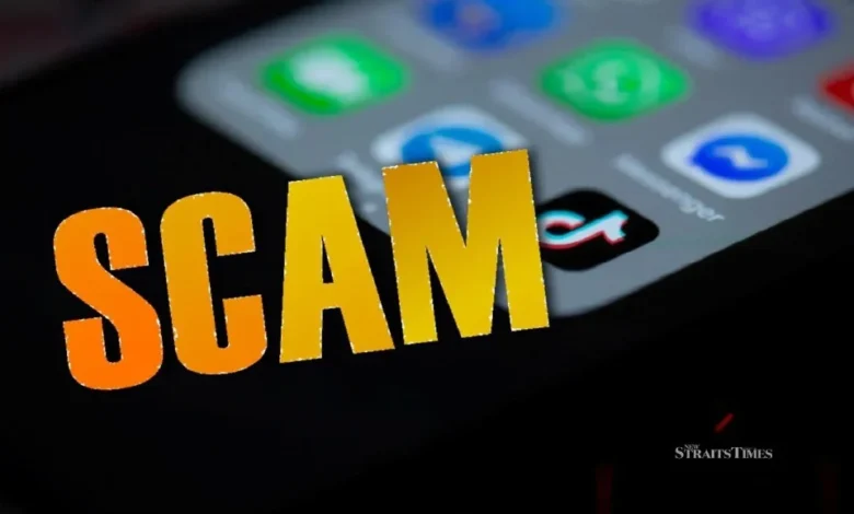 Suri rumah rugi RM239,000 ditipu pelaburan tak wujud