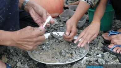 Licensed gold panners in Kelantan can start panning from Jan 21