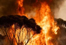 Hampir 3,000 kebakaran dilaporkan sejak awal tahun - Bomba