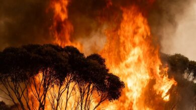 Hampir 3,000 kebakaran dilaporkan sejak awal tahun - Bomba