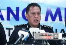 'No deal with Google on scam detector'