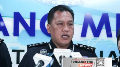 'No deal with Google on scam detector'