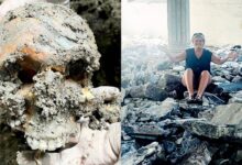 Terkejut jumpa 83 jasad tertanam bawah rumah