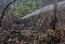 Johor peatland fire extinguishing operation 50pct complete