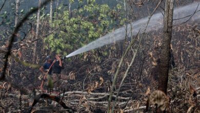 Johor peatland fire extinguishing operation 50pct complete