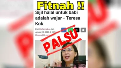 Teresa Kok lodges police report over fake article