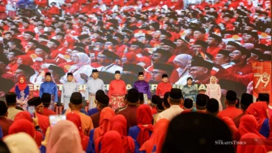 Umno has more mature and cautious strategy now, say experts