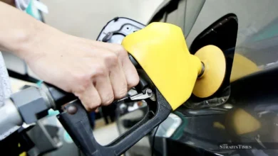 RON95 subsidy based on vehicle registration, not citizenship