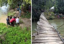 Titi gantung runtuh, lebih 50 tetamu kenduri kahwin jatuh sungai