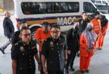 Authorities uncover three more e-waste containers at Port Klang