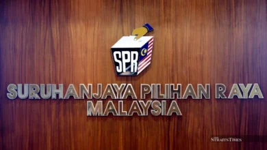 Dec 2025 supplementary electoral roll open for review - EC