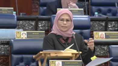 Strategi Menyeluruh Pastikan Industri Sawit Negara Stabil, Mampan – Noraini