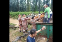 Man dies after vehicle swept away by floodwaters in Tawau