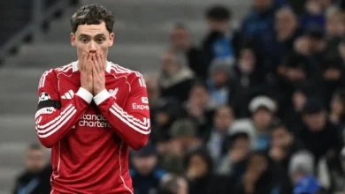 2025 tahun 'gila' pasaran perpindahan dunia