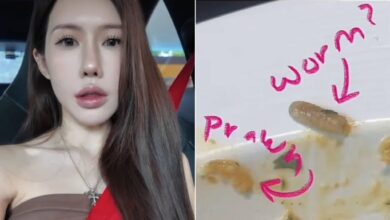 Pelanggan dakwa jumpa cacing dalam hidangan pasta