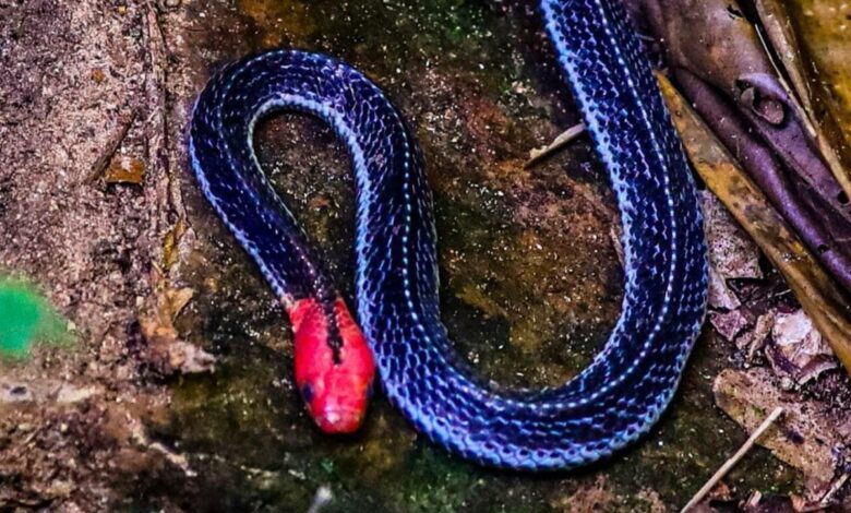 ￼ ￼ Not Many Know About Elon Musk's Unimaginable Tragedy In 2002 BRAINBERRIES ￼ The Wild Secrets Behind James Cameron Films BRAINBERRIES