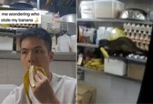 Haiwan misteri curi pisang di kedai