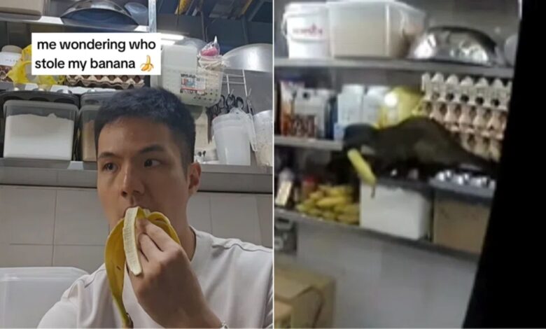 Haiwan misteri curi pisang di kedai