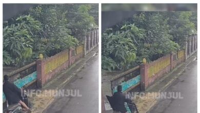 Harapkan pagar, pagar kena ‘rembat’