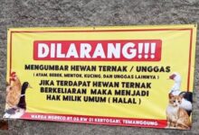 Penduduk boleh masak ayam, tangkap kucing jiran