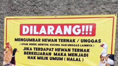 Penduduk boleh masak ayam, tangkap kucing jiran