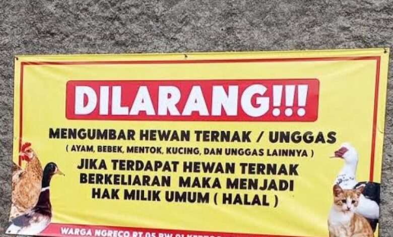 Penduduk boleh masak ayam, tangkap kucing jiran