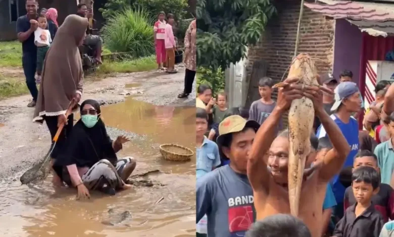 Penduduk tangkap keli besar dalam lopak