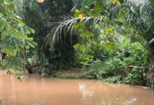 Kelibat Lisa ganggu pelajar, bimbang ada jadi mangsa