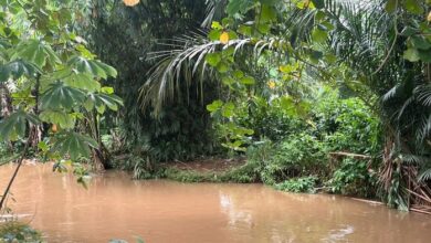 Kelibat Lisa ganggu pelajar, bimbang ada jadi mangsa