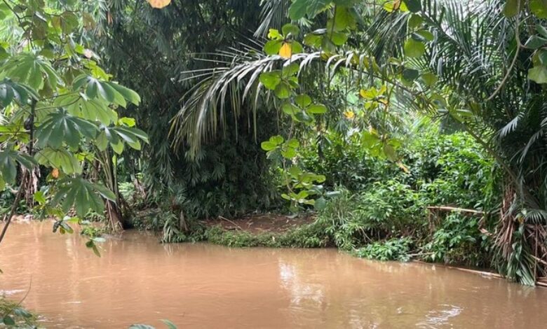 Kelibat Lisa ganggu pelajar, bimbang ada jadi mangsa