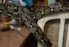 Misteri bunyi geseran 2 pagi terjawab