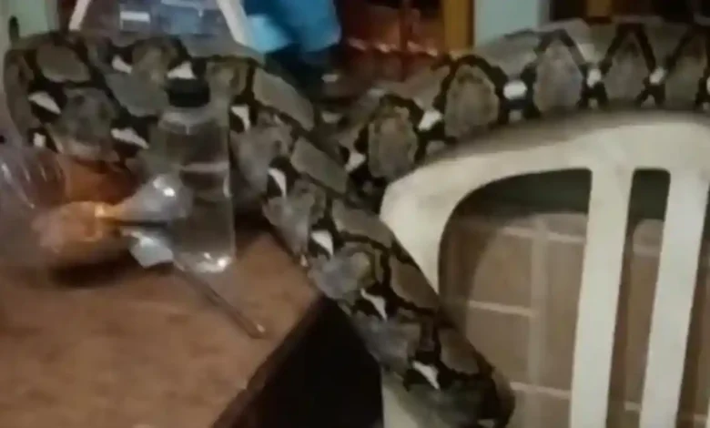 Misteri bunyi geseran 2 pagi terjawab