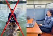 Didenda buat video AI duduk di atas ular gergasi