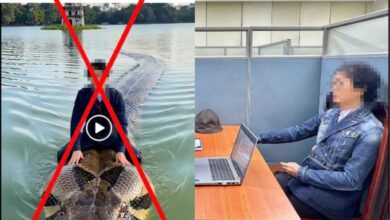 Didenda buat video AI duduk di atas ular gergasi