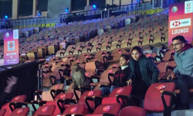 Monyet, najis burung sambut pemain Terbuka India