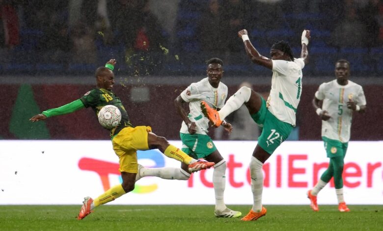 Ular ‘makan’ tuan, padah bela viper hidung panjang