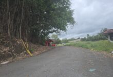 Woman arrested in cemetery murder case in Kota Sentosa