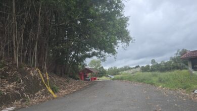 Woman arrested in cemetery murder case in Kota Sentosa