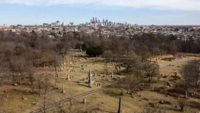 Lelaki gali kubur, curi lebih 100 rangka manusia