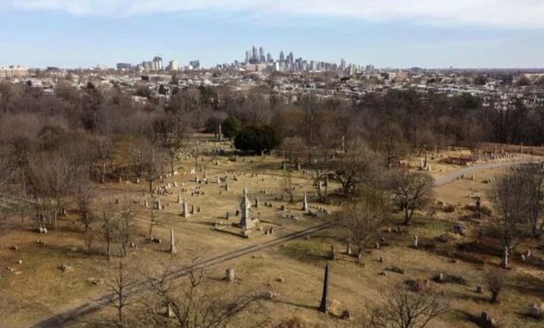 Lelaki gali kubur, curi lebih 100 rangka manusia