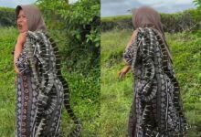 Wanita tangkap ular demi beli beras