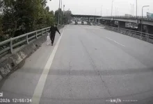 Lelaki jumpa wang RM150,000 tengah lebuh raya