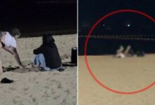 Polis cekup pelancong berasmara di tepi pantai