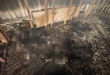 3 mayat rentung dalam kebakaran kilang di Olak Rempit disyaki Rohingya