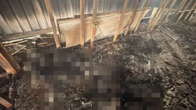 3 mayat rentung dalam kebakaran kilang di Olak Rempit disyaki Rohingya