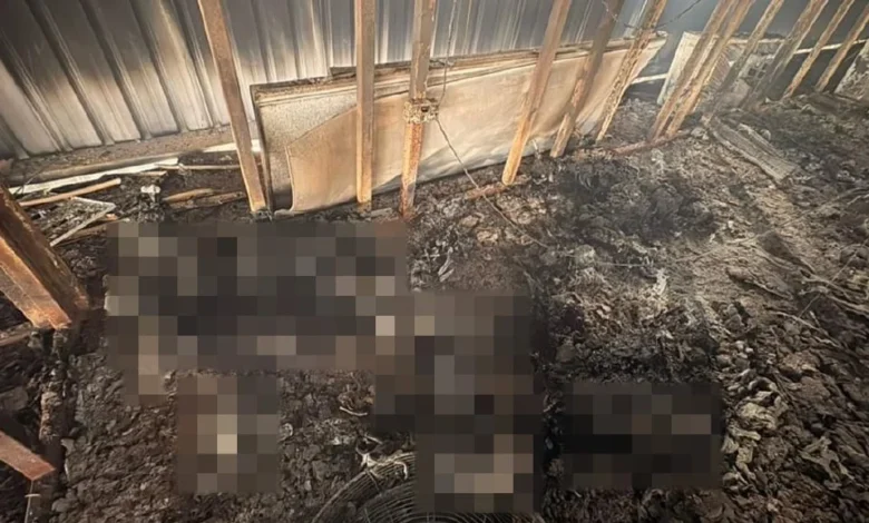 3 mayat rentung dalam kebakaran kilang di Olak Rempit disyaki Rohingya