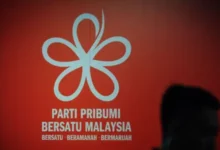 Bersatu appoints new task force to restructure divisions, wings