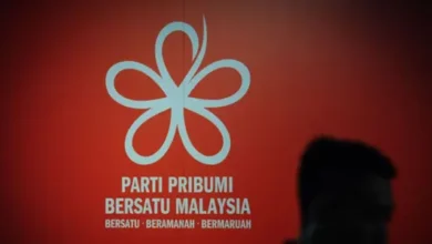 Bersatu appoints new task force to restructure divisions, wings