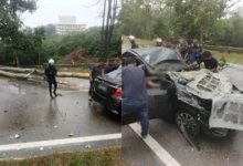 E-hailing driver, passenger critically injured after car struck by fallen tree